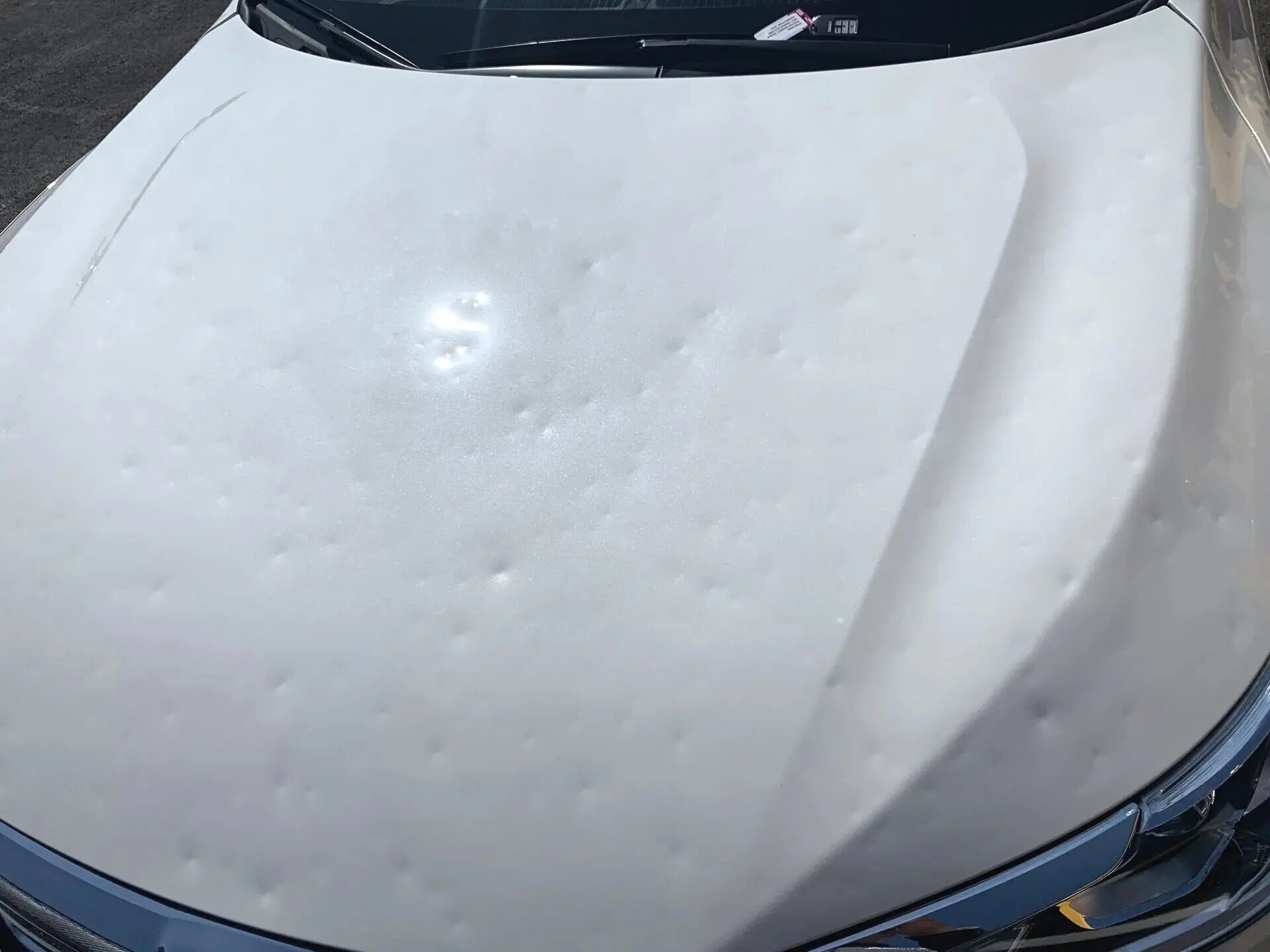 Hail damaged white hood